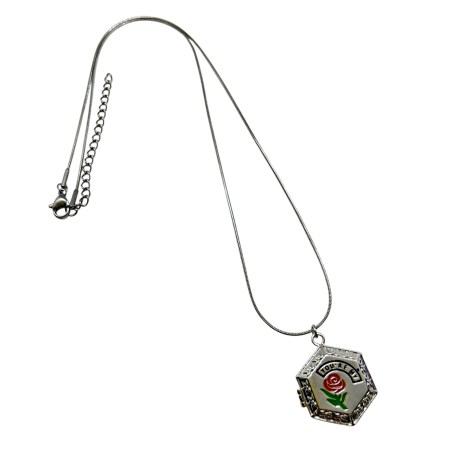 necklace steel silver you are my roze2